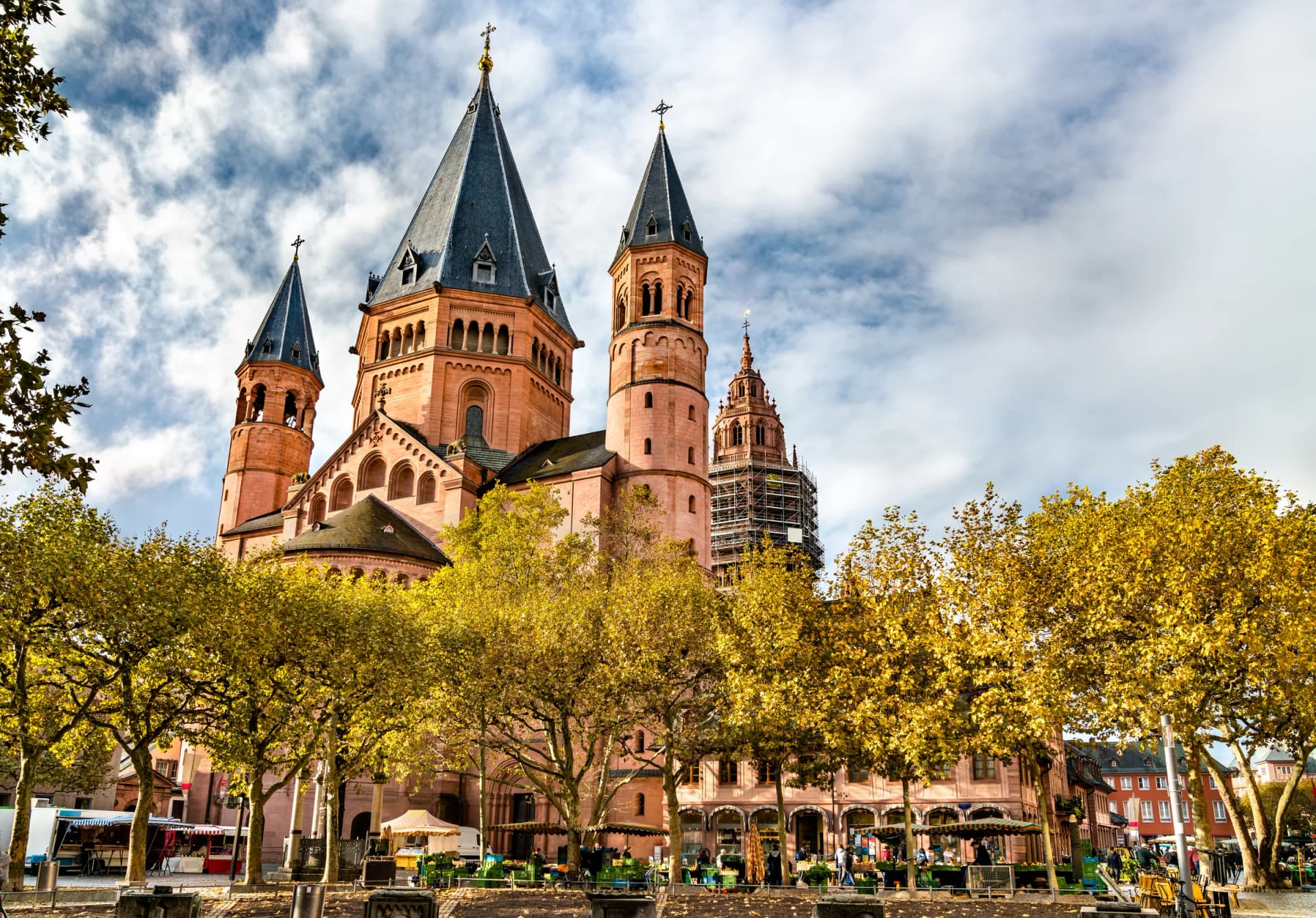 Mainzer Dom hinter Bäumen